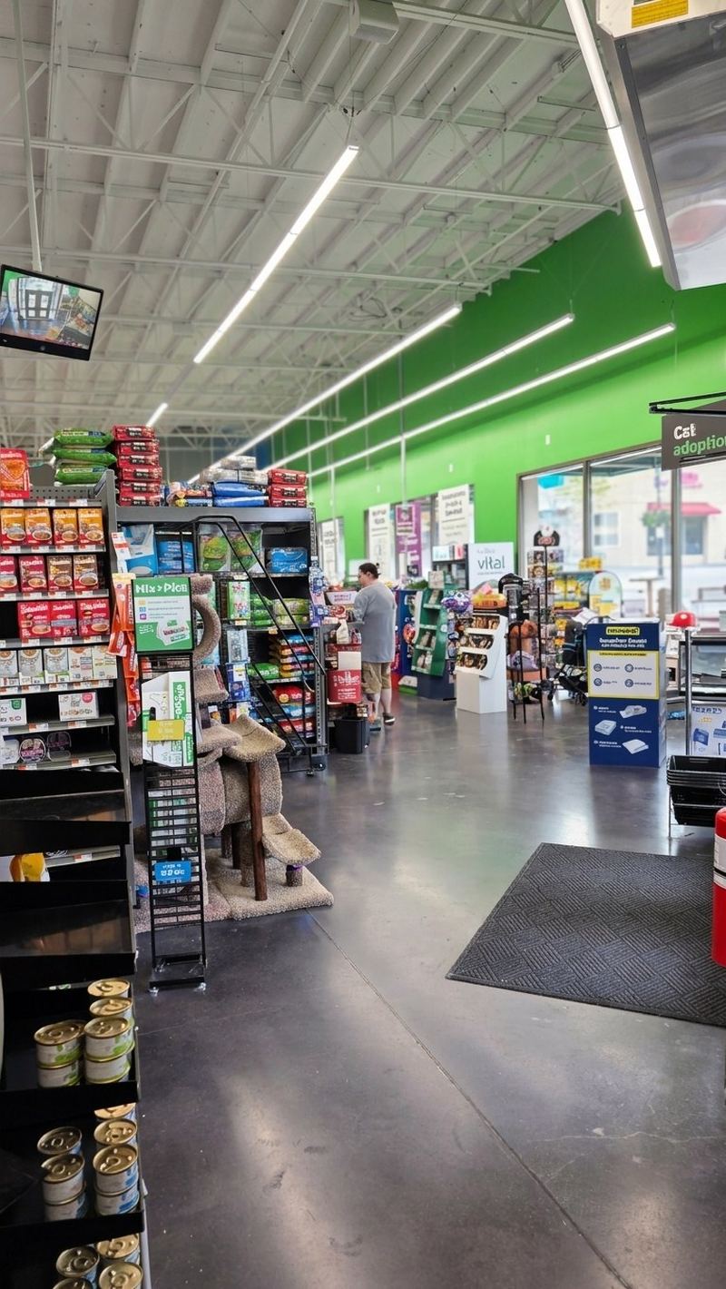 A bright main aisle with green walls and long ceiling lights